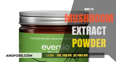 Mushroom Extract Powder: Nature's Superfood Boost