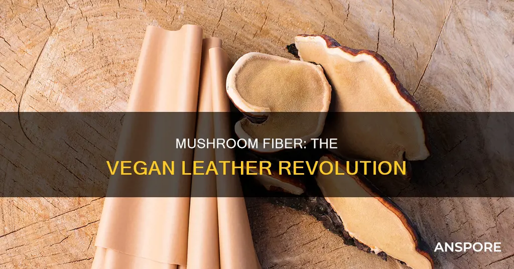 what is mushroom fiber called