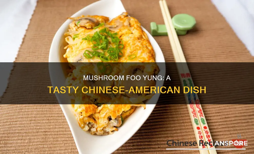 what is mushroom foo yung