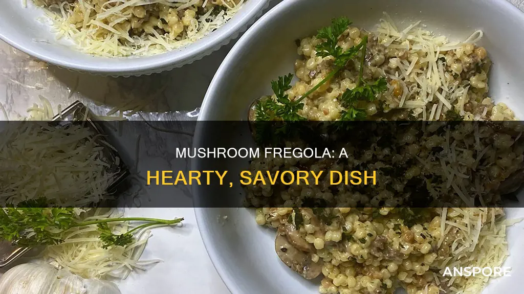 what is mushroom fregola