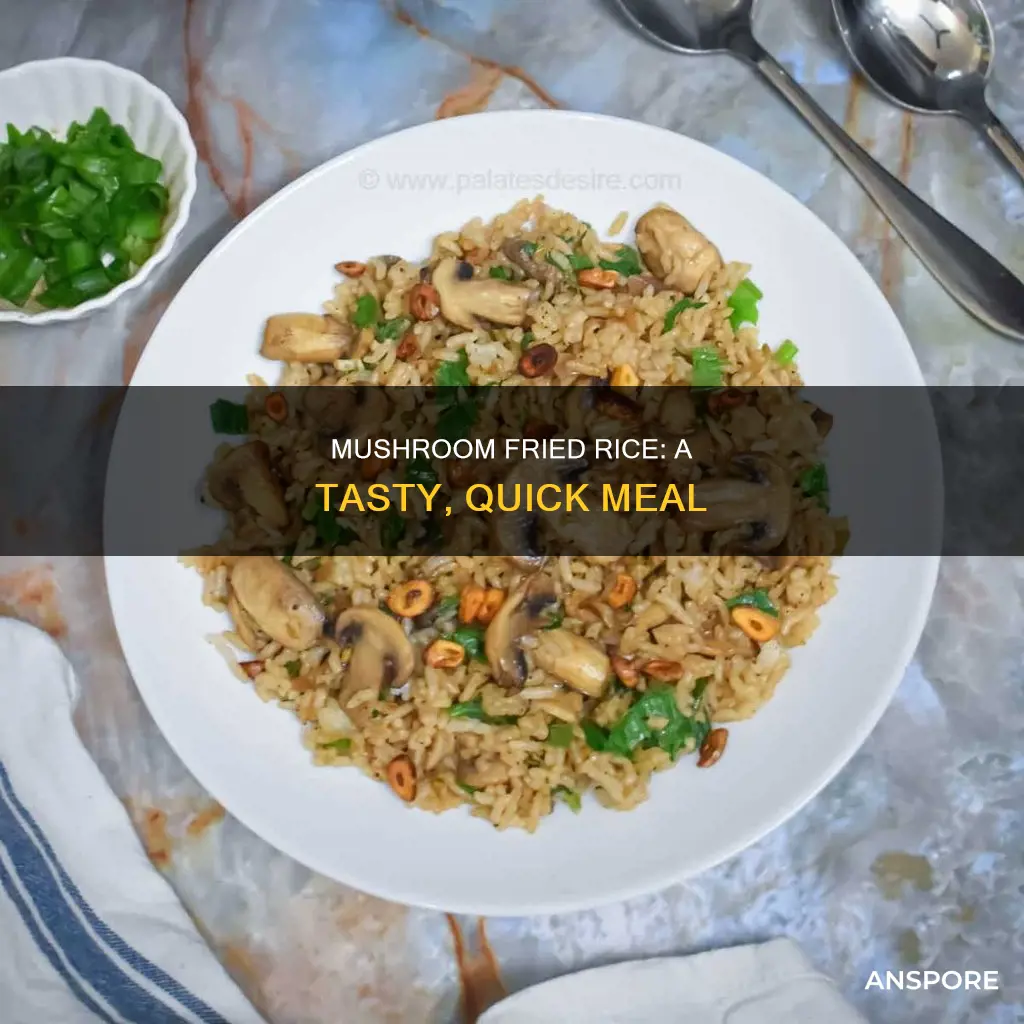 what is mushroom fried rice