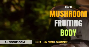 Mushroom Fruiting Body: Nature's Magical Mystery