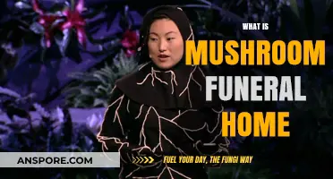 Mushroom Funeral Homes: Nature's Way to Decompose Bodies