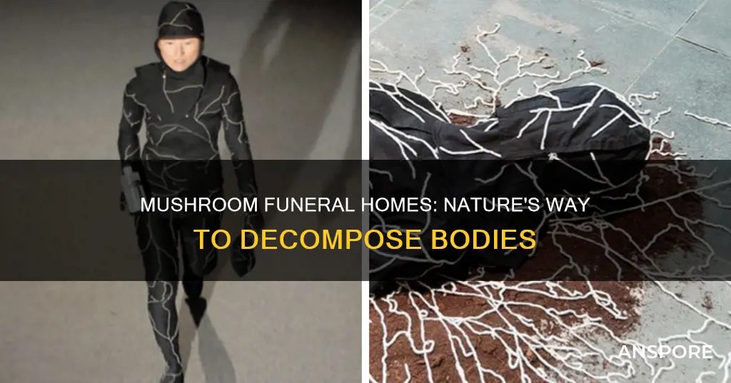 what is mushroom funeral home