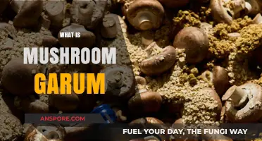 Explore the Ancient Taste of Mushroom Garum