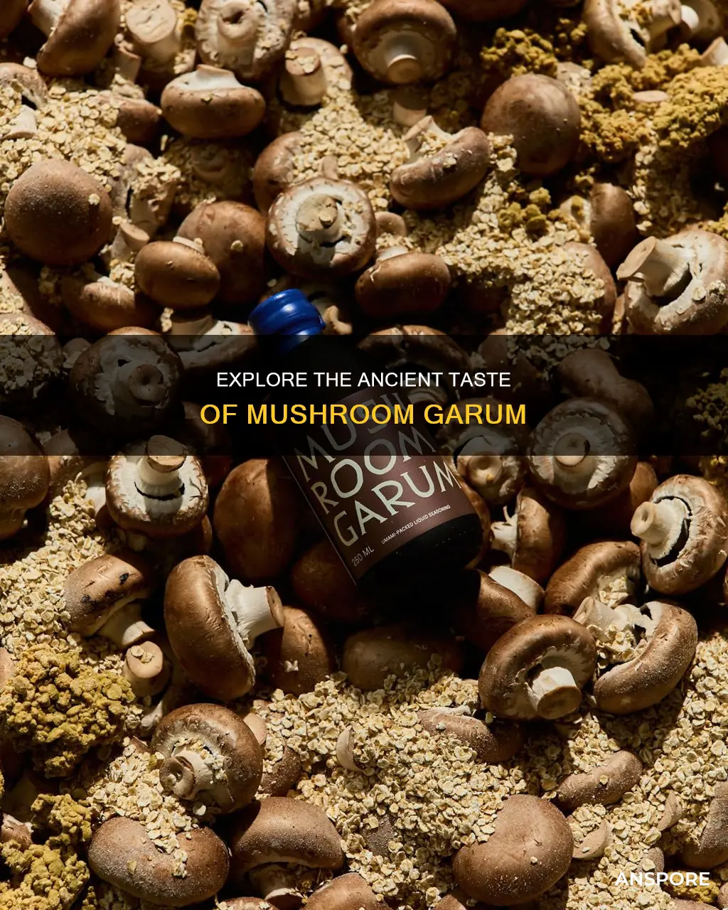 what is mushroom garum