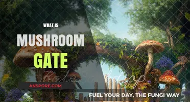 Mushroom Gate: A Bizarre Scandal Unveiled