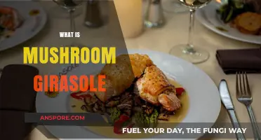 Mushroom Girasole: A Unique, Delicious Italian Dish
