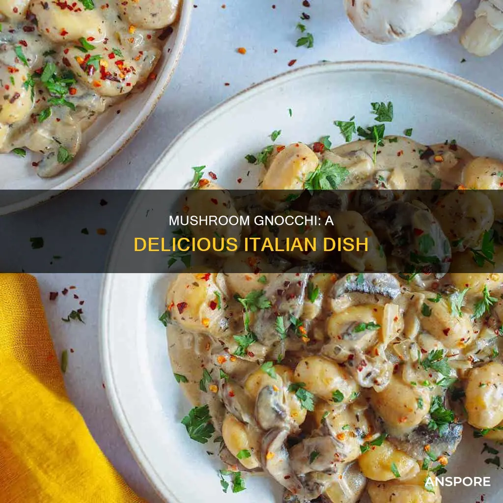 what is mushroom gnocchi