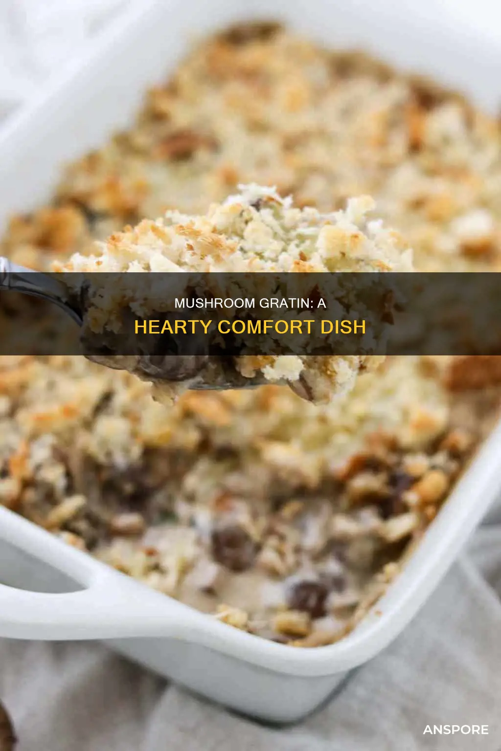 what is mushroom gratin