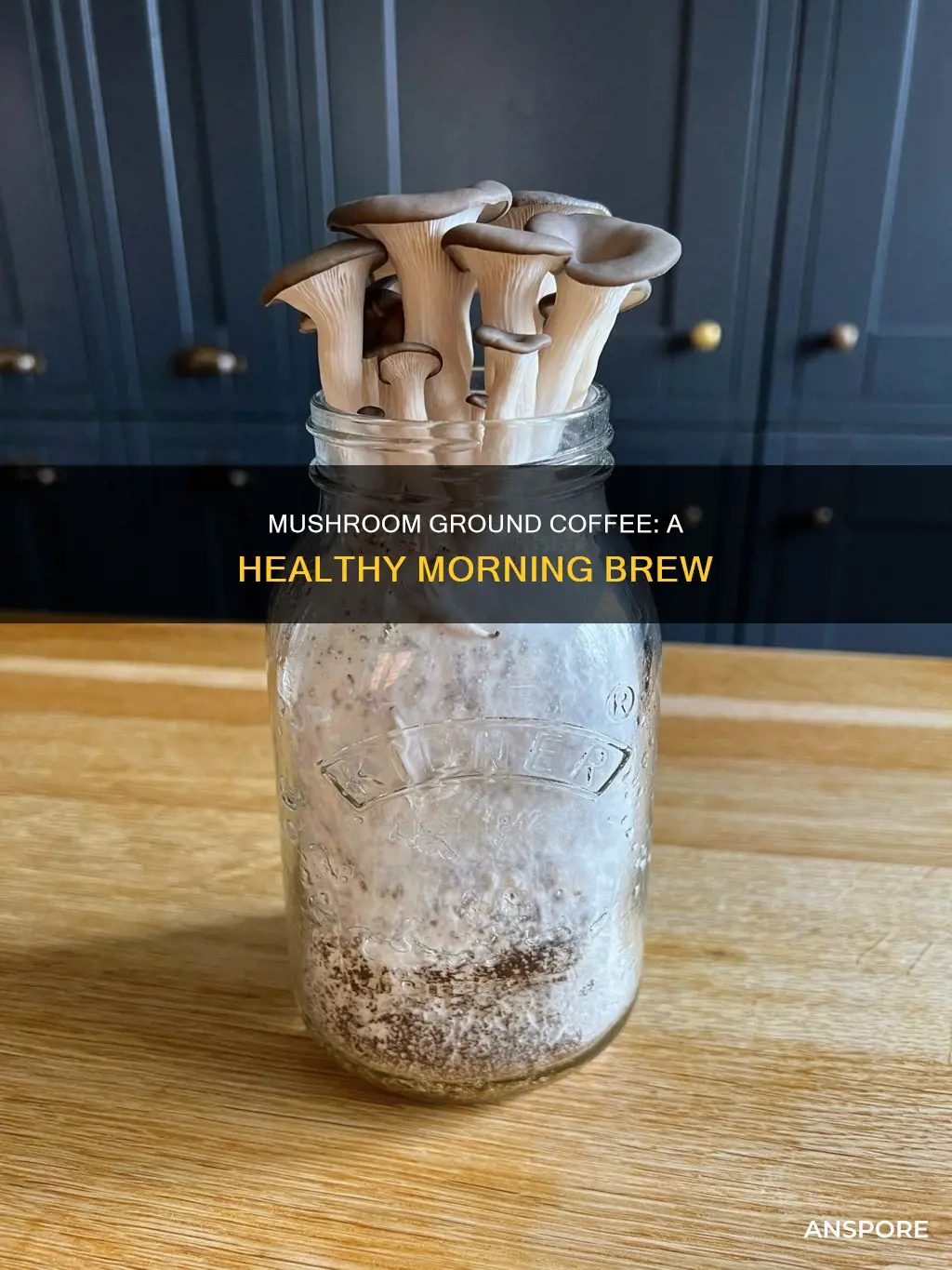 what is mushroom ground coffee
