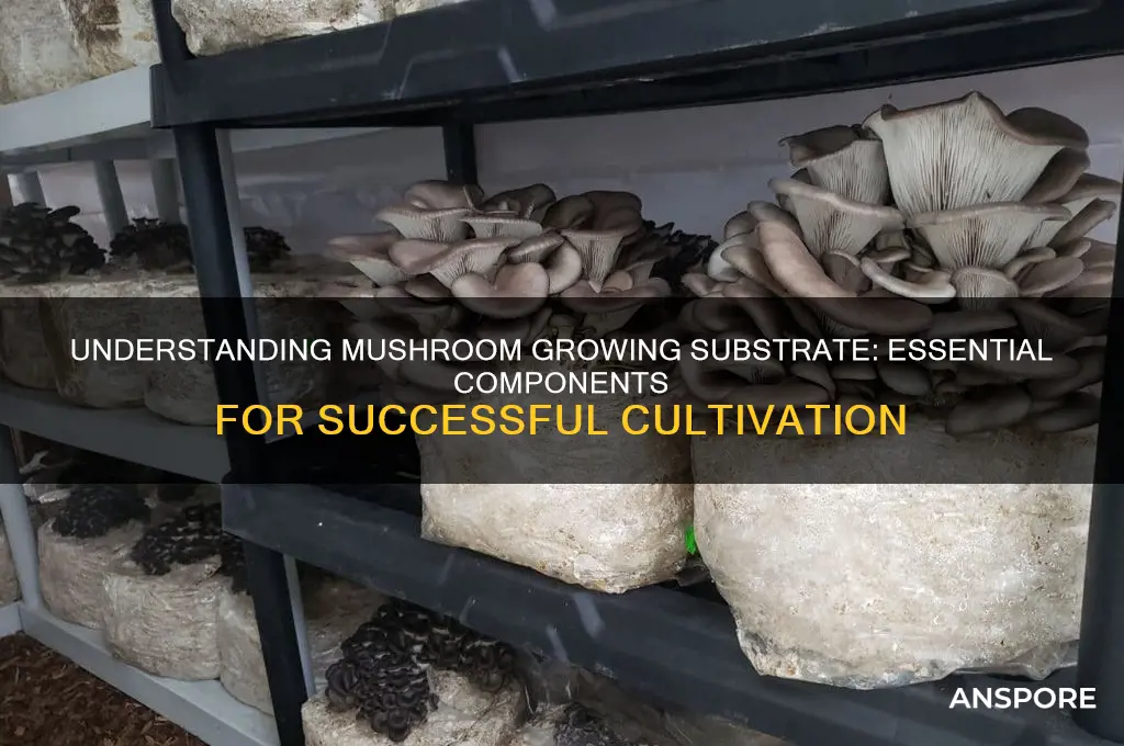 what is mushroom growing substrate