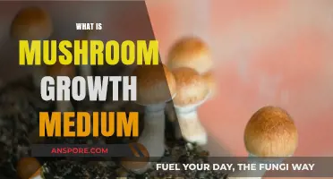 Mushroom Growth Medium: What's the Magic Mix?