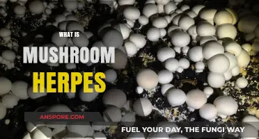 Mushroom Herpes: A Fungal Infection Mystery
