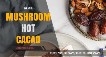 Mushroom Hot Cacao: A Healthy Chocolate Drink