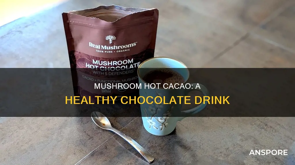 what is mushroom hot cacao