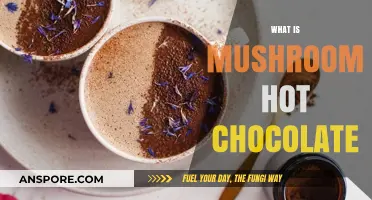 Mushroom Hot Chocolate: A Healthy, Delicious Comfort Drink