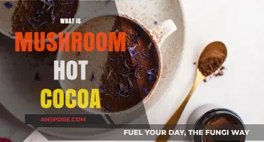 Mushroom Hot Cocoa: Healthy, Tasty, and Trendy