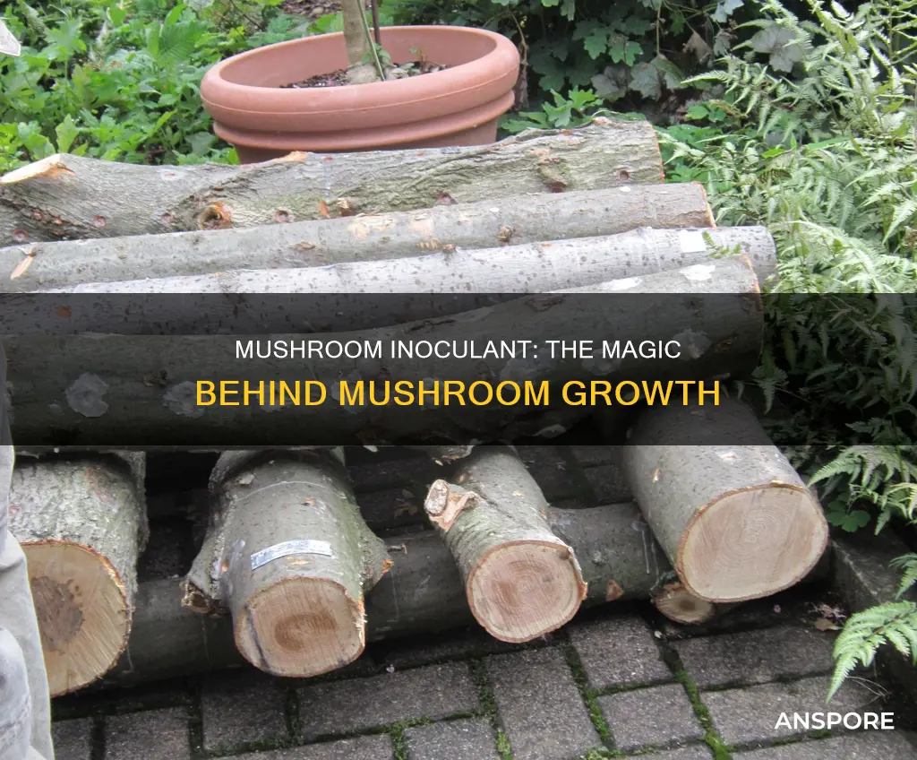 what is mushroom inoculant