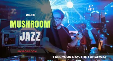 The Smooth Sounds of Mushroom Jazz