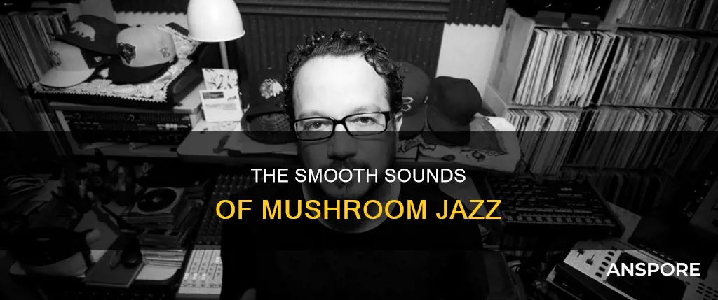 what is mushroom jazz