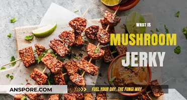 Vegan Treat: Mushroom Jerky, a Meat Alternative
