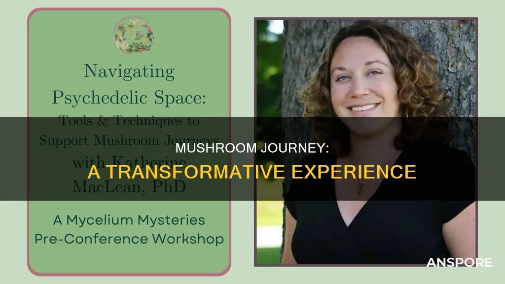 what is mushroom journey