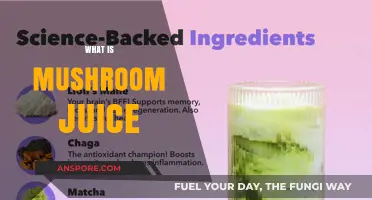 Mushroom Juice: Nature's Superfood Elixir