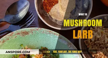 Mushroom Larb: A Tasty Meatless Treat