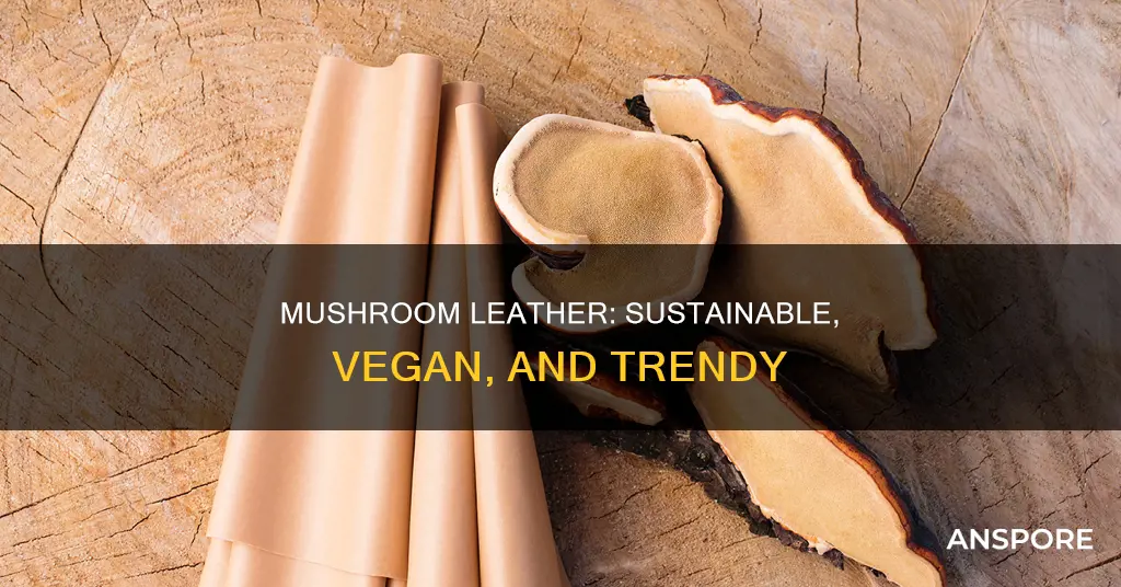 what is mushroom leather
