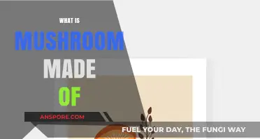 Mushroom Makeup: What Are They Made Of?