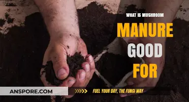 Mushroom Manure Benefits: Boosting Soil Health and Plant Growth Naturally