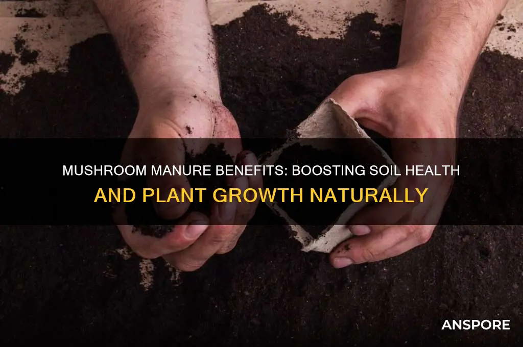 what is mushroom manure good for