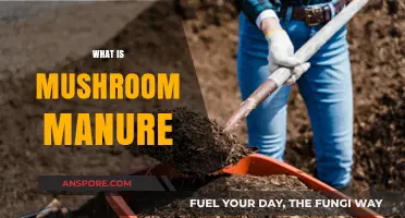 Mushroom Manure: Nature's Super Compost
