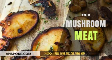 Mushroom Meat: The Future of Sustainable Food