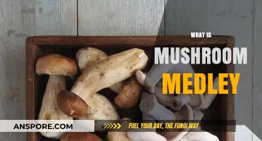Mushroom Medley: A Culinary Adventure
