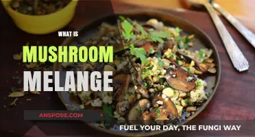Mushroom Melange: A Culinary Adventure