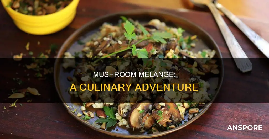 what is mushroom melange