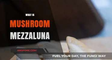 The Magic of Mushroom Mezzaluna