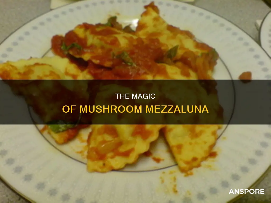 what is mushroom mezzaluna