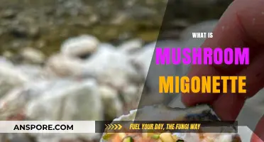 Mushroom Mignonette: A Classic French Sauce