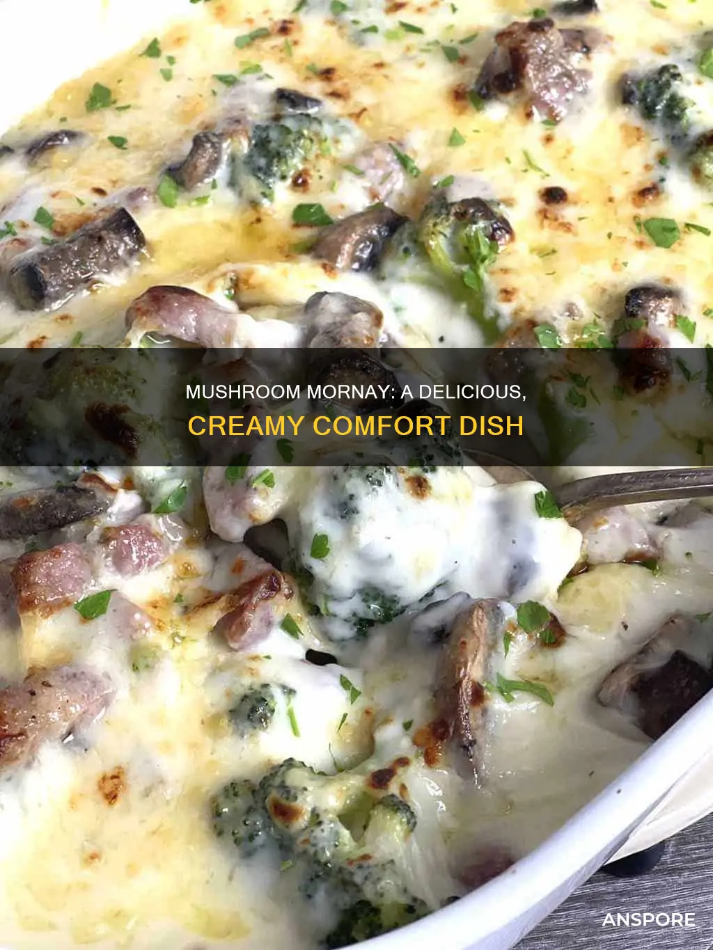what is mushroom mornay