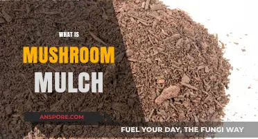 Mushroom Mulch: Benefits and Uses in Gardening