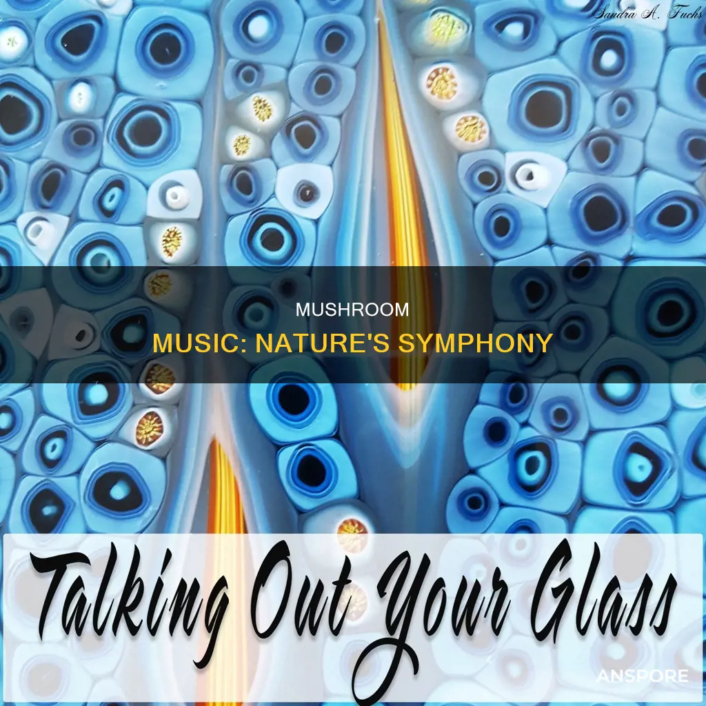 what is mushroom music