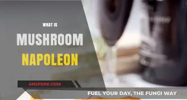 Mushroom Napoleon: A Delicious Stacked Dish