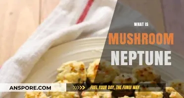 Mushroom Neptune: The Ultimate Guide to This Fungi