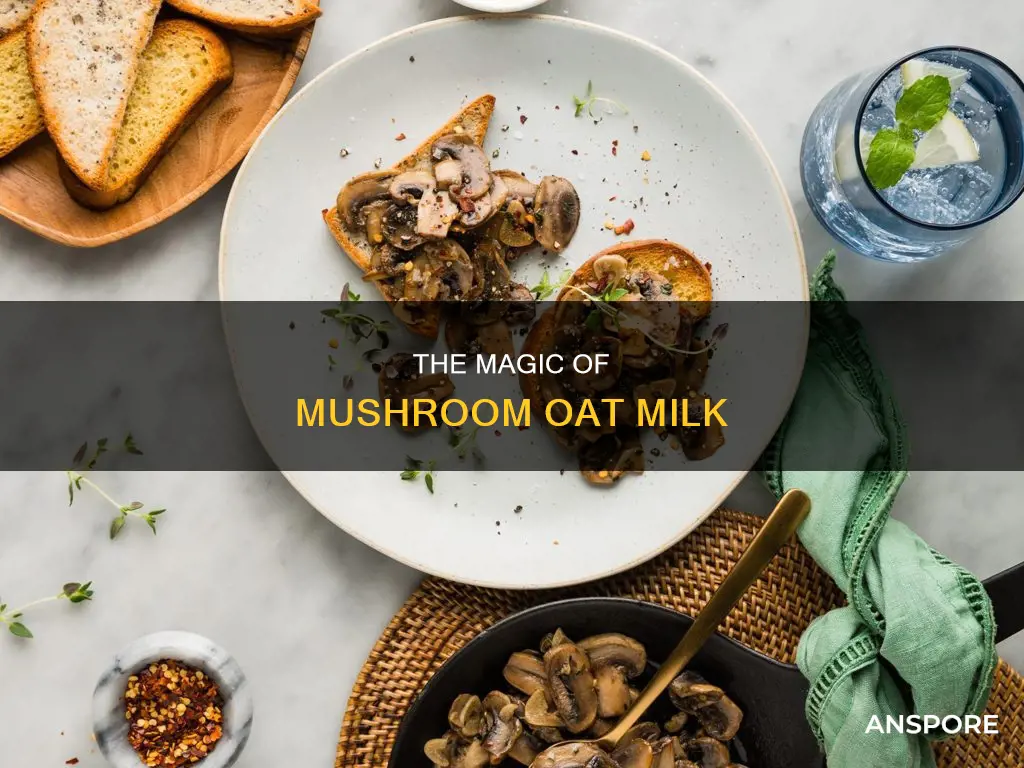 what is mushroom oat milk