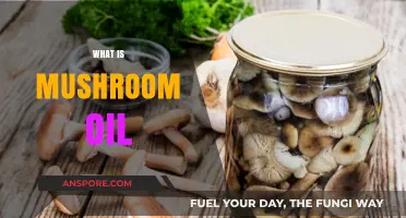 Mushroom Oil: The Superfood for Your Skin and Health
