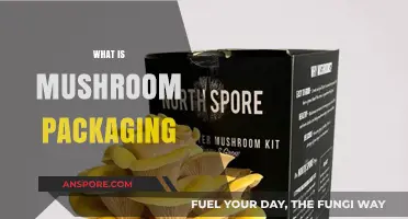 Mushroom Packaging: An Eco-Friendly Innovation