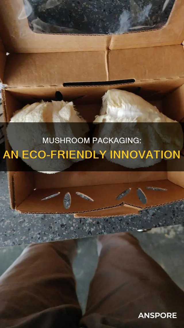 what is mushroom packaging